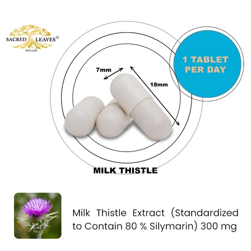 MILK THISTLE